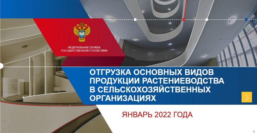 Отгрузка основных видов продукции растениеводства за январь 2022 года